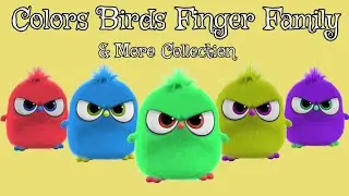 Finger Family Color🎨 Birds Song Nursery Rhymes For Children + More