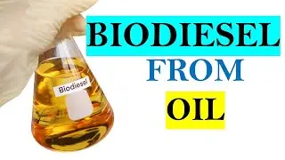 BIODIESEL FROM VEGETABLE OIL ।।  ChemHolder