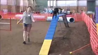 Spot on Agility, Help Me!  Bailey Luebs