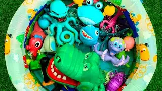 Морские животные для детей: названия, факты и развивающие игрушки в виде морских обитателей для м...