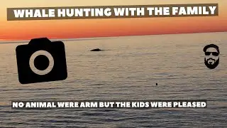 Whale observation with the family in Gasp&eacute;sie | Observation de baleines | Pierre's Adventures