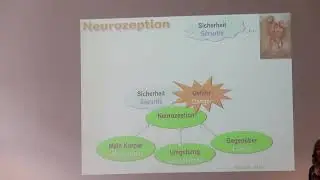 Polyvagaltheorie im Sexocorporel, Teil 1