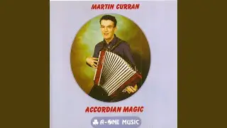 Jigs: E Minor Jig/Daly's/Father O Flynn
