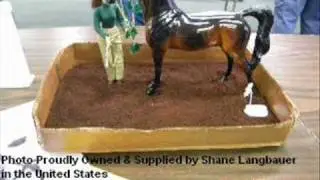 Arabian Halters for Breyer & Peter Stone Model Horses Customer Video #3