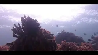 Underwater Tidore - Canon S100