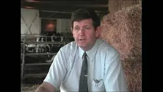 Maximizing Dairy Profits: Smart Forage & Feed Management | Classics (1990)