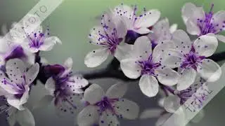 Beautiful scene, pleasant to the eye, pleasing to the soul.