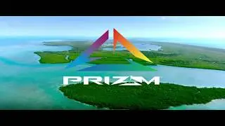 Prizm Grey Polarized