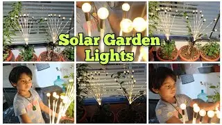 Solar Garden Lights Demo | Crystal Ball Wireless Garden Lights | Homehop Solar Light Outdoor