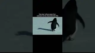 🏔️     #mountains #motivation #trending #penguin #trendingvideo #song