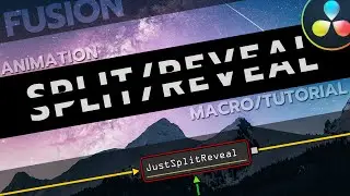 Fun SPLIT / REVEAL Animation Tutorial / Davinci Resolve / Fusion