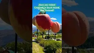 Cromwell, New Zealand #newzealand #tourism #pinoyabroad #yeahyeahyeahs