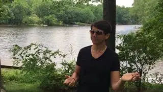 How Does Lake Barcroft Stay So Clean? Episode 42 of the Lake Barcroft Show.