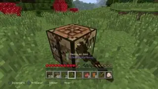 [LE DEBUT]NOUVELLE SURVIE[MINECRAFT]