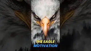 the eagle motivation #short  #shorts