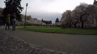 Timelapse on the UW Quad