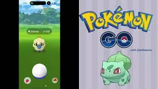 Mareep Community Day Classic