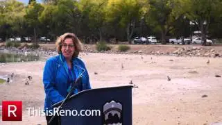 What's Happening With Virginia Lake?
