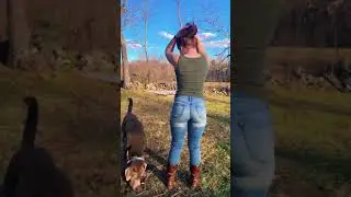 Longhair Bun Drop Challenge  #shorts #longhairunicorn #hairdrop #viral #trending
