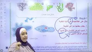شرح درس مملكتا الفطريات والطلائعيات الجزء الثاني مع المعلمة عبير المناصير @Abeer_Almanaseer