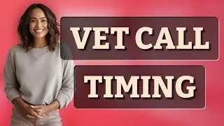 When Should You Call a Vet After Essential Oil Exposure?