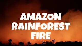 🔴 UPDATE ON AMAZON RAINFOREST l AMAZONIA IS STILL ON FIRE 🔥