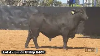 Lot 4   Lunar Utility U401