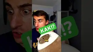 Угадай - получишь шаурму #юмор #рекомендации #приколы
