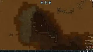 How to Survive in the Desert in Rimworld