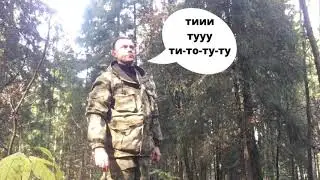 Подманиваете рябчика. Голос рябчика