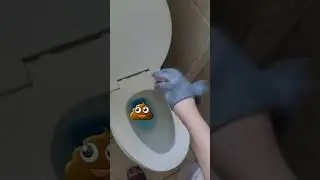 Shark puppet Bathroom