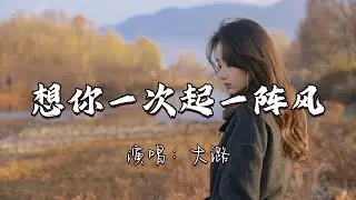 大潞 - 想你一次起一阵风『想你一次就起一阵风  你不会懂我思念汹涌  如今我们隔着山水重重  你是否已忘了过去种种。』『动态歌词MV』#经典老歌 #改编歌曲 #翻唱 #必听热门歌曲