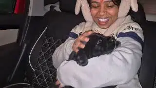  new doggy 05/01/2026