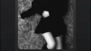 The dull whispers of my mind 