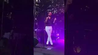 Father John Misty • When You’re Smiling & Astride Me