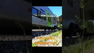 Fail while trainspotting #shorts