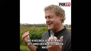 Ice wine from Wisconsin