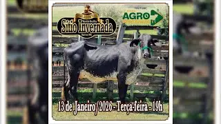 2º LEILÃO VIRTUAL FAZENDA SÍTIO INVERNADA - MARCINHO BOCA RICA - 13/01/2026