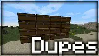Dupes on 9b9t.