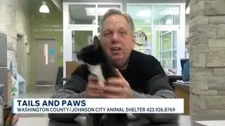 Tails and Paws for Friday, January 20, 2026