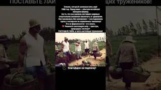 Женщина Фермер Китай Сила 1968 История Спортсмен Чемпион Фото #фото #женщина