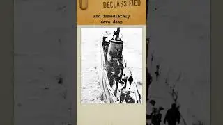 The Submarine That Struck from the Shadows, USS Sawfish | #submarine #shorts #fyp