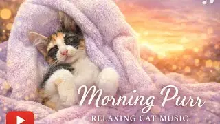 Little Bloom Diary - Morning Purr เพลง Lofi ฟังสบายๆ กับเจ้าเหมียวในยามเช้า 🐾 listen with your cat 