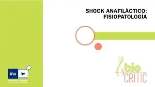 SHOCK ANAFILÁCTICO: FISIOPATOLOGÍA