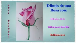 Ballpoint Pen Rose Dibujo con Boli    #art #dibujo #bol&iacute;grafo