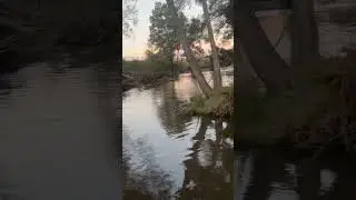 Trout fishing fish river O&rsquo;Connell NSW yeew #fishing
