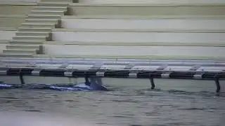 Inouk Tailslap
