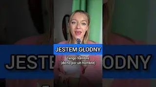 polaco desde cero, curso b&aacute;sico de polaco, frases polacas, vida en Polonia #polonia #vidaenpolonia