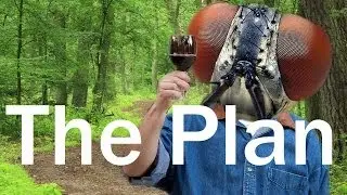 The Plan - Fly Simulator 2.0
