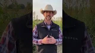 JPAR Modern Real Estate - Jeremy Raskin